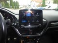 Daumennagel 13 - Ford Fiesta ST-Line