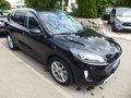 Daumennagel 2 - Ford Kuga Plug-In Hybrid Titanium aus 1. Hand