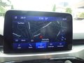 Daumennagel 16 - Ford Kuga Plug-In Hybrid Titanium aus 1. Hand