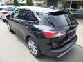 Daumennagel 19 - Ford Kuga Plug-In Hybrid Titanium aus 1. Hand