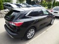 Daumennagel 18 - Ford Kuga Plug-In Hybrid Titanium aus 1. Hand
