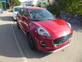 Daumennagel 3 - Ford Puma Titanium aus 1. Hand