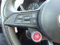 Daumennagel 15 - Alfa Romeo Stelvio Quadrifoglio Q4