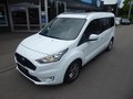 Daumennagel 1 - Ford Grand Tourneo Connect Titanium