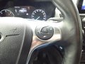 Daumennagel 17 - Ford Grand Tourneo Connect Titanium