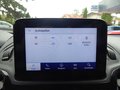 Daumennagel 20 - Ford Grand Tourneo Connect Titanium