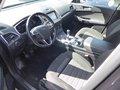 Daumennagel 7 - Ford Galaxy Titanium