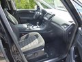 Daumennagel 14 - Ford Galaxy Titanium
