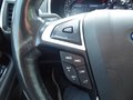 Daumennagel 20 - Ford Galaxy Titanium