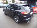 Daumennagel 4 - Ford Kuga Plug-In Hybrid ST-Line X aus 1. Hand