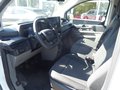Daumennagel 5 - Ford Transit Custom Kasten 280 L1 Trend FWD