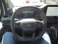 Daumennagel 9 - Ford Transit Custom Kasten 280 L1 Trend FWD