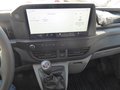 Daumennagel 13 - Ford Transit Custom Kasten 280 L1 Trend FWD