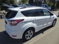 Daumennagel 4 - Ford Kuga ST-Line