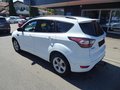 Daumennagel 6 - Ford Kuga ST-Line