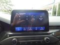 Daumennagel 19 - Ford Focus Turnier ST-Line PDC/Kamera/Head UP