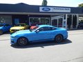Daumennagel 6 - Ford Mustang Mach 1 Fastback