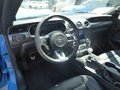 Daumennagel 10 - Ford Mustang Mach 1 Fastback