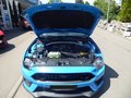 Daumennagel 15 - Ford Mustang Mach 1 Fastback