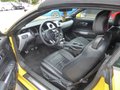 Daumennagel 7 - Ford Mustang GT Convertible
