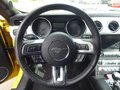Daumennagel 9 - Ford Mustang GT Convertible