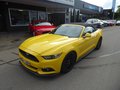 Daumennagel 1 - Ford Mustang GT Convertible