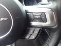 Daumennagel 13 - Ford Mustang GT Convertible