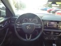 Daumennagel 10 - Skoda Kamiq Ambition aus erster Hand