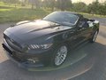 Daumennagel 1 - Ford Mustang GT Convertible 5.0 EU-Modell/COC/SYNC3