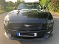 Daumennagel 2 - Ford Mustang GT Convertible 5.0 EU-Modell/COC/SYNC3