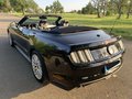Daumennagel 3 - Ford Mustang GT Convertible 5.0 EU-Modell/COC/SYNC3