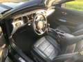 Daumennagel 9 - Ford Mustang GT Convertible 5.0 EU-Modell/COC/SYNC3