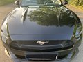 Daumennagel 12 - Ford Mustang GT Convertible 5.0 EU-Modell/COC/SYNC3
