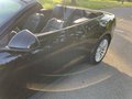 Daumennagel 13 - Ford Mustang GT Convertible 5.0 EU-Modell/COC/SYNC3