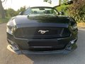 Daumennagel 14 - Ford Mustang GT Convertible 5.0 EU-Modell/COC/SYNC3