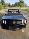 Daumennagel 15 - Ford Mustang GT Convertible 5.0 EU-Modell/COC/SYNC3