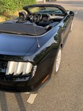 Daumennagel 16 - Ford Mustang GT Convertible 5.0 EU-Modell/COC/SYNC3