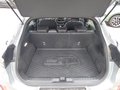Daumennagel 7 - Ford Puma ST-Line X Aus 1. Hand, Unfallfrei, AHK