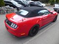 Daumennagel 5 - Ford Mustang GT Convertible Aus 1. Hand