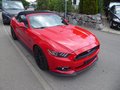 Daumennagel 4 - Ford Mustang GT Convertible Aus 1. Hand