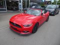 Daumennagel 3 - Ford Mustang GT Convertible Aus 1. Hand