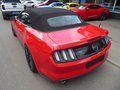 Daumennagel 7 - Ford Mustang GT Convertible Aus 1. Hand