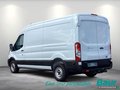 Daumennagel 4 - Ford Transit 350 L3H2 Lkw VA Basis AHK Seitenwandver