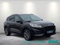 Daumennagel 2 - Ford Kuga 2.5 Duratec PHEV ST-LINE AHK NAVI Rückf.