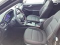 Daumennagel 11 - Ford Kuga 2.5 Duratec PHEV ST-LINE AHK NAVI Rückf.