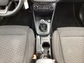Daumennagel 11 - Ford Fiesta 1.0 EcoBoost Hybrid S&S TITANIUM Winter