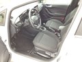 Daumennagel 12 - Ford Fiesta 1.0 EcoBoost Hybrid S&S TITANIUM Winter