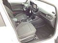 Daumennagel 13 - Ford Fiesta 1.0 EcoBoost Hybrid S&S TITANIUM Winter