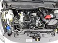 Daumennagel 15 - Ford Fiesta 1.0 EcoBoost Hybrid S&S TITANIUM Winter