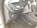 Daumennagel 17 - Ford Fiesta 1.0 EcoBoost Hybrid S&S TITANIUM Winter